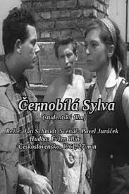 Black and White Sylva Black and White Sylva